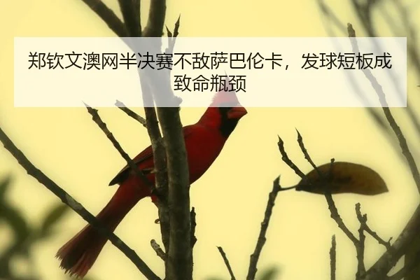 郑钦文澳网半决赛不敌萨巴伦卡，发球短板成致命瓶颈